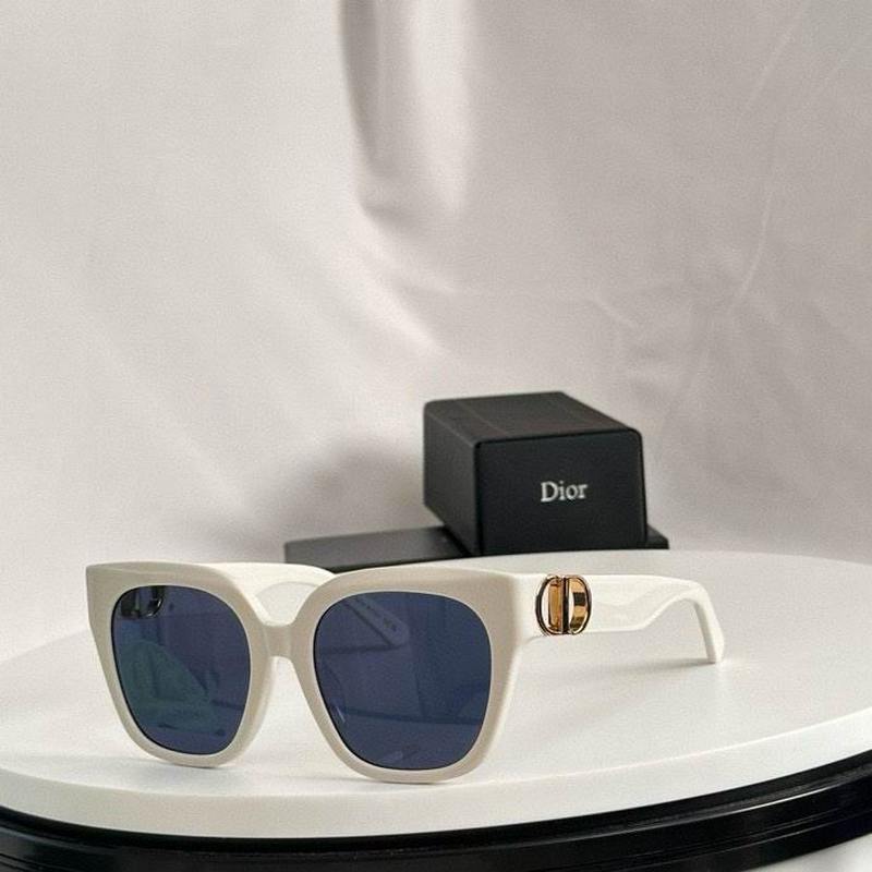 DIOR Sunglasses 503